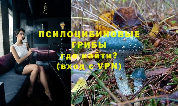 индика Нефтекумск