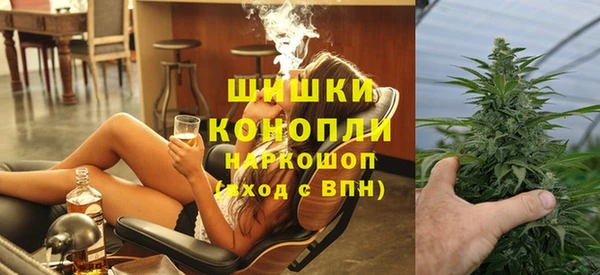 индика Нефтекумск