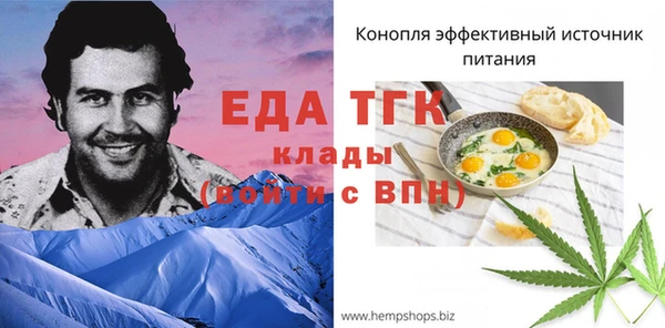 индика Нефтекумск