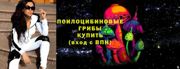 индика Нефтекумск