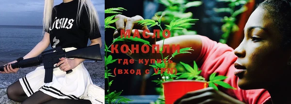 индика Нефтекумск