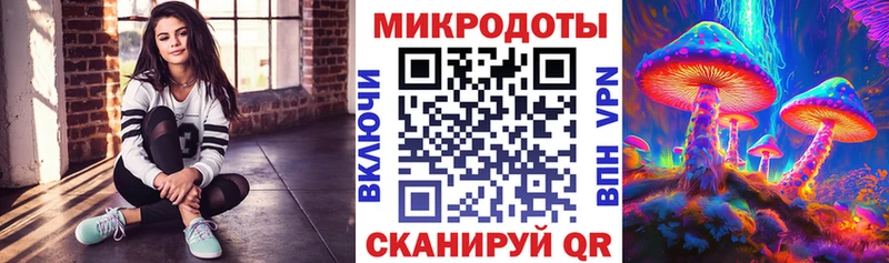 наркошоп  Старый Крым  Галлюциногенные грибы Psilocybe 